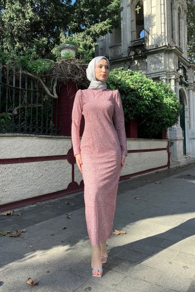 Oval Damlacık Desenli Simli İşlemeli Tesettür Abiye Pudra
